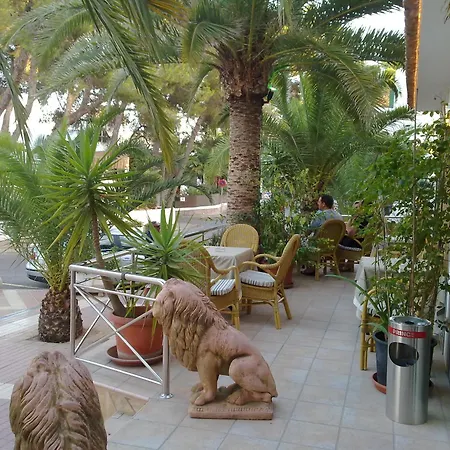 Hostal Leo D'Or