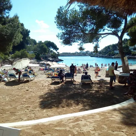 Hostal Leo D'Or Guest house 2*